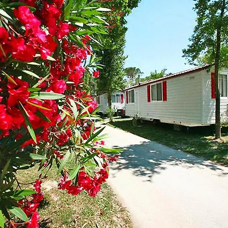 Mobile Homes San Francesco - Ivn01503-mya
